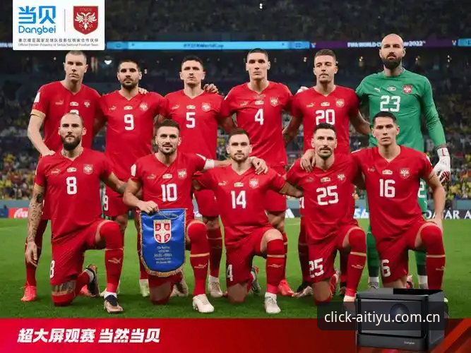 世界杯观赛受阻？爱体育平台带你了解签证危机与观赛新选择